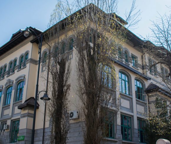 ZILELE COLEGIULUI şi ZILELE PORŢILOR DESCHISE 2026