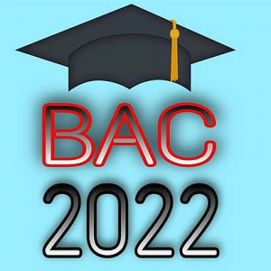 BAC 2022 – repartizarea la PROBA D (competenţe digitale)