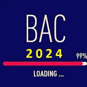 BAC 2024 – repartizarea la PROBA D (competenţe digitale)